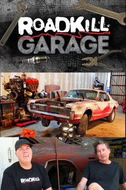 Watch Roadkill Garage movies free online