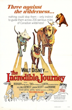 Watch The Incredible Journey movies free online