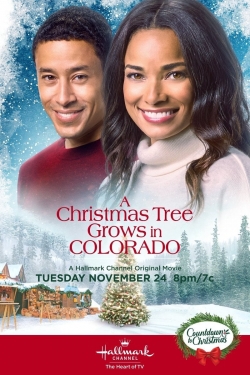 Watch A Christmas Tree Grows in Colorado movies free online