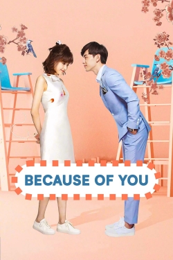 Watch Because of You movies free online