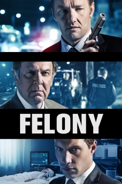 Watch Felony movies free online