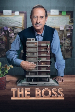 Watch The Boss movies free online