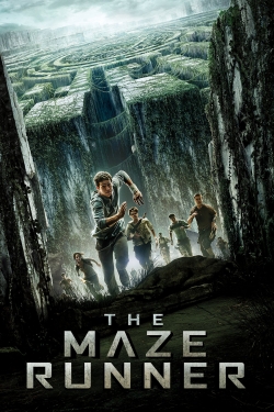 Watch The Maze Runner movies free online