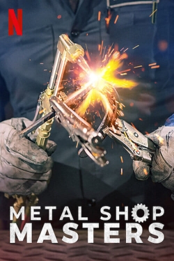 Watch Metal Shop Masters movies free online