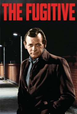 Watch The Fugitive movies free online