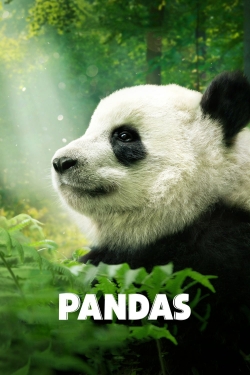 Watch Pandas movies free online