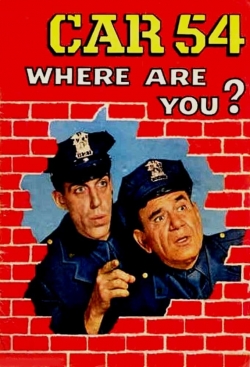 Watch Car 54, Where Are You? movies free online