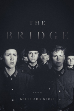 Watch The Bridge movies free online