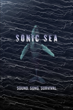 Watch Sonic Sea movies free online