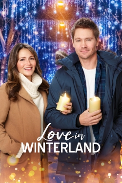 Watch Love in Winterland movies free online