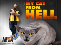 Watch My Cat from Hell movies free online