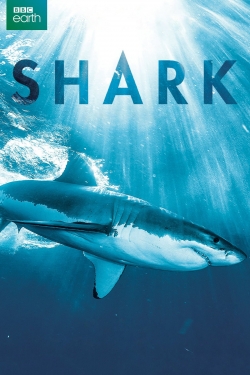 Watch Shark movies free online