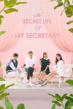 Watch The Secret Life of My Secretary movies free online