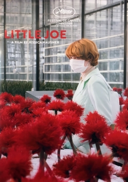 Watch Little Joe movies free online