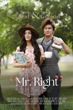 Watch Mr. Right movies free online