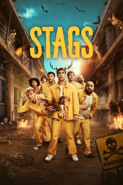 Watch Stags movies free online