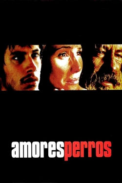 Watch Amores Perros movies free online