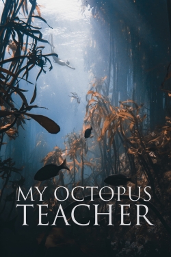 Watch My Octopus Teacher movies free online