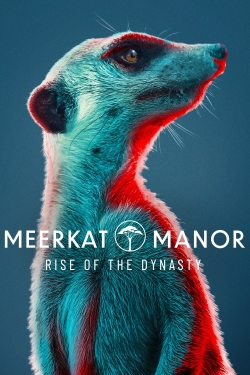 Watch Meerkat Manor: Rise of the Dynasty movies free online