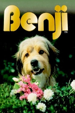 Watch Benji movies free online