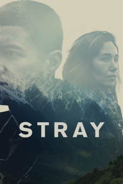 Watch Stray movies free online