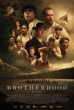 Watch Brotherhood movies free online