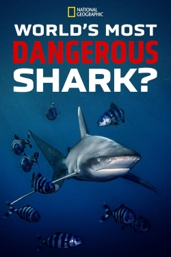 Watch World's Most Dangerous Shark? movies free online