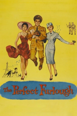 Watch The Perfect Furlough movies free online