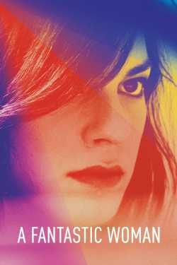 Watch A Fantastic Woman movies free online
