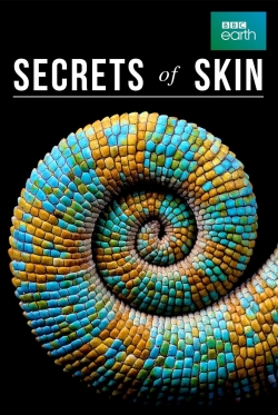 Watch Secrets of Skin movies free online