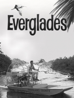 Watch Everglades movies free online