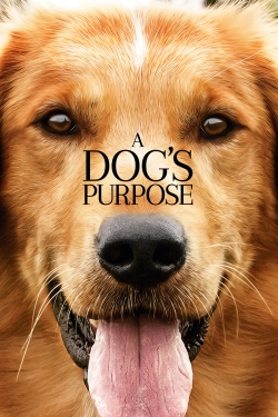 Watch A Dog's Purpose movies free online