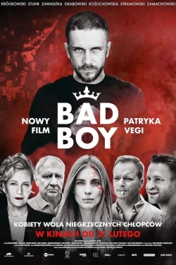 Watch Bad Boy movies free online