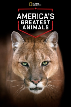 Watch America's Greatest Animals movies free online