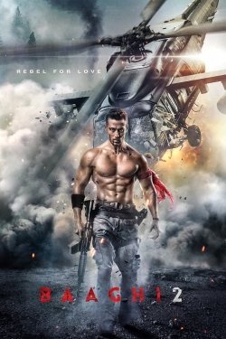 Watch Baaghi 2 movies free online