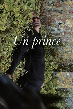 Watch A Prince movies free online
