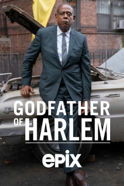Watch Godfather of Harlem movies free online