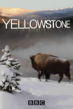 Watch Yellowstone movies free online