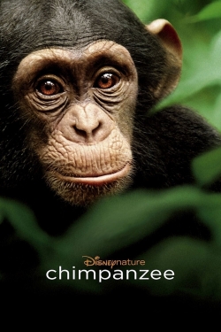 Watch Chimpanzee movies free online