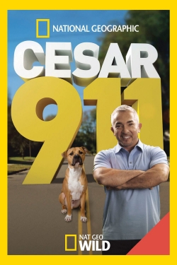 Watch Cesar 911 movies free online