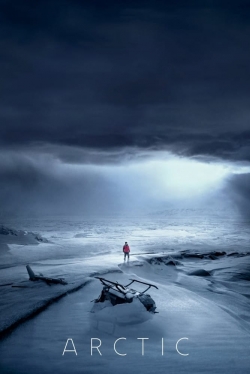 Watch Arctic movies free online