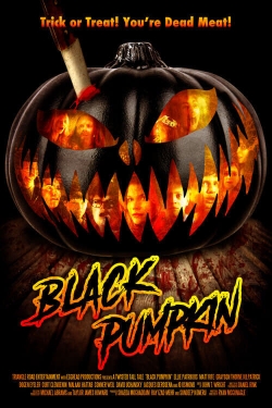Watch Black Pumpkin movies free online