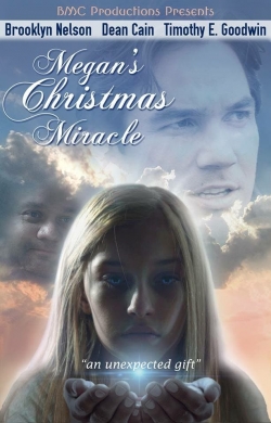 Watch Megan's Christmas Miracle movies free online