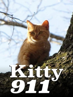 Watch Kitty 911 movies free online