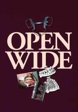 Watch Open Wide movies free online