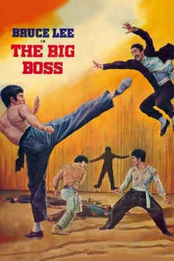 Watch The Big Boss movies free online